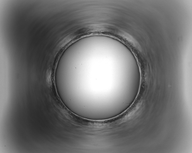X0000098120873200804111113