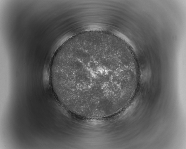 X0000098120874200804111113