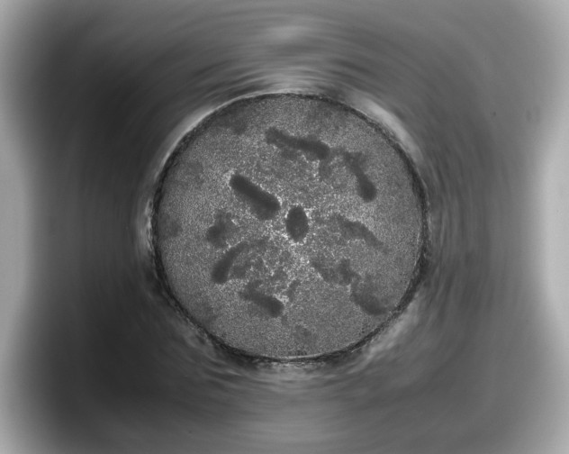 X0000098120875200804111113