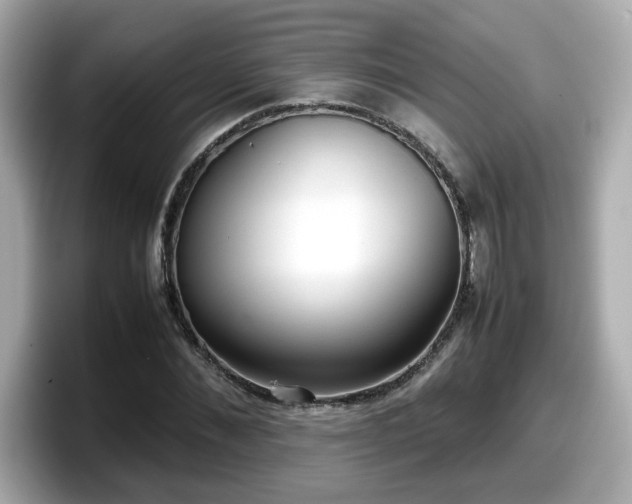 X0000098120876200804111113