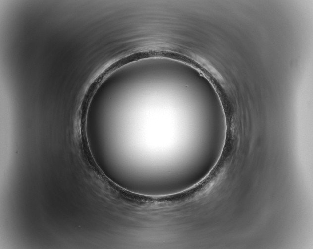 X0000098120877200804111113