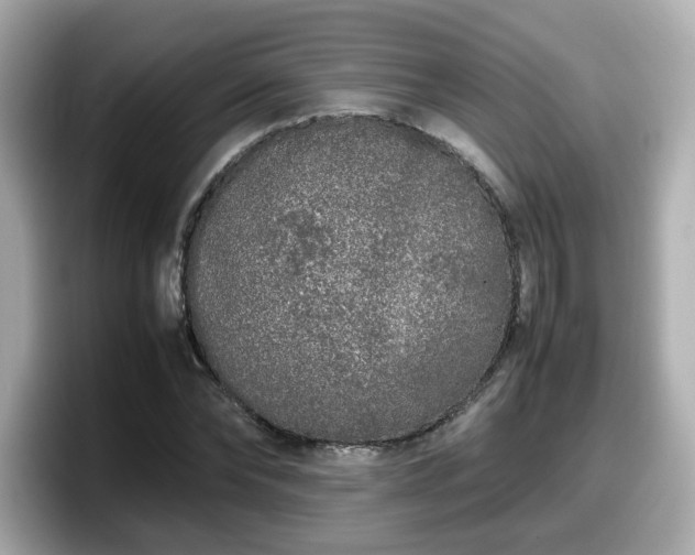 X0000098120878200804111113