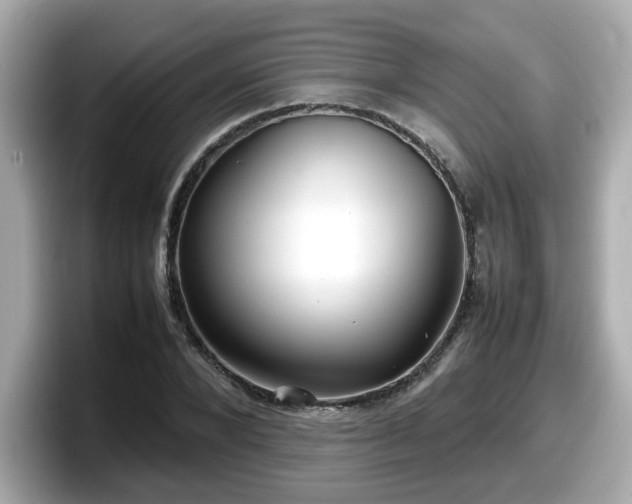 X0000098120880200804111113