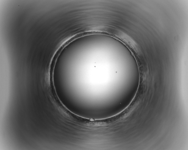 X0000098120884200804111113