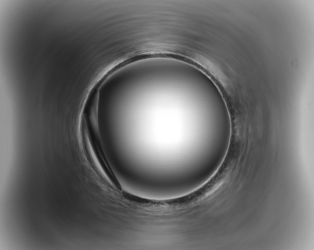 X0000098120885200804111113