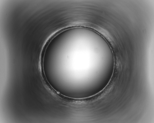 X0000098120888200804111113