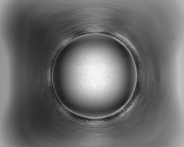 X0000098120889200804111113