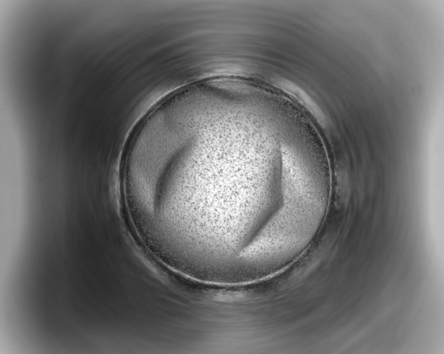 X0000098120890200804111113