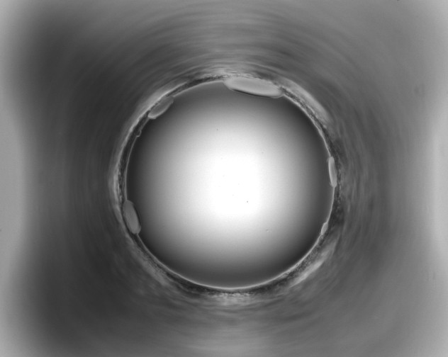X0000098120893200804111113