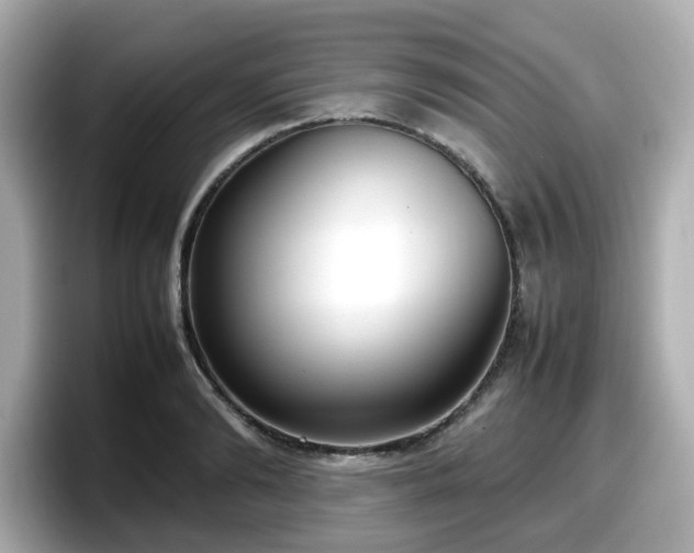 X0000098120894200804111113