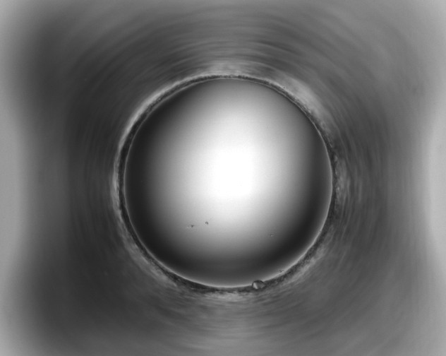 X0000098120896200804111113
