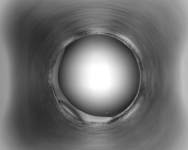 X0000098120897200804111113