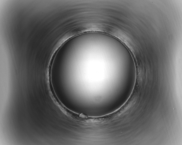 X0000098120898200804111113