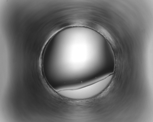 X0000098120900200804111113