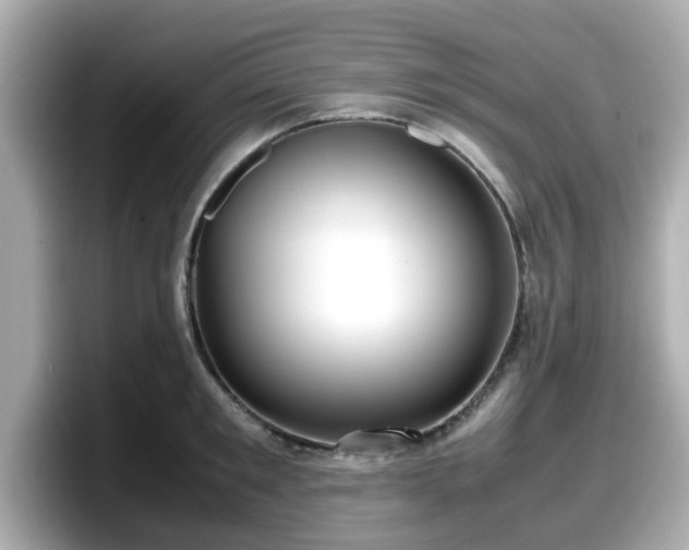 X0000098120901200804111113