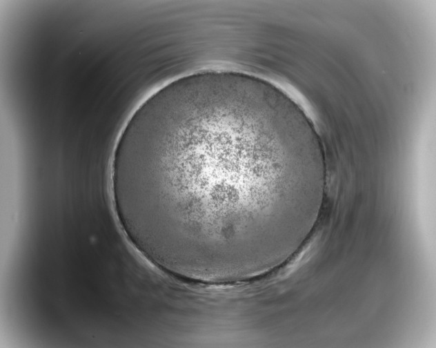 X0000098120903200804111113