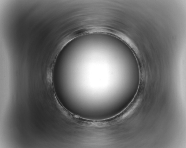 X0000098120905200804111113