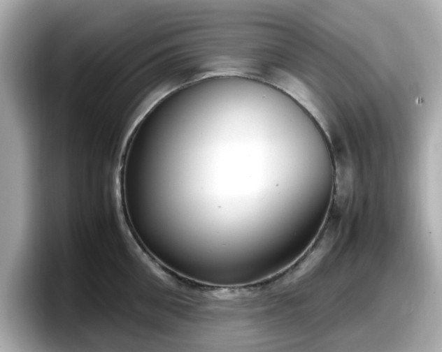 X0000098120906200804111113