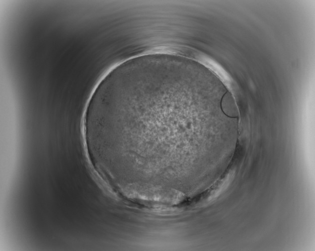 X0000098120907200804111113