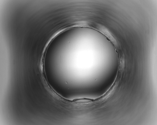 X0000098120908200804111113