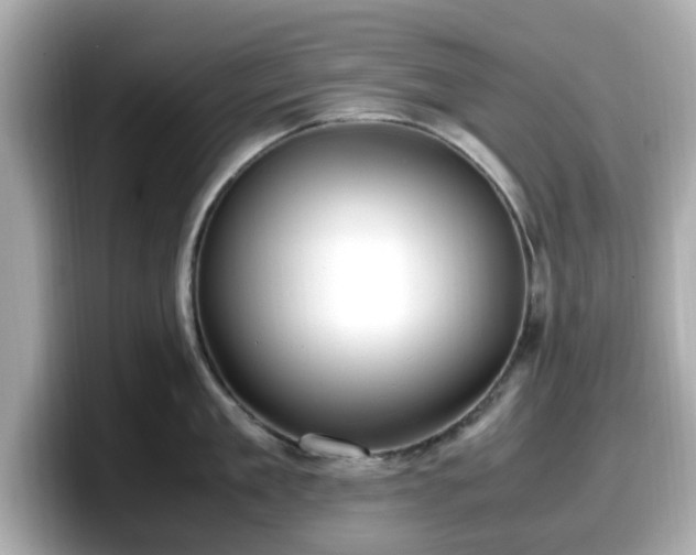 X0000098120909200804111113