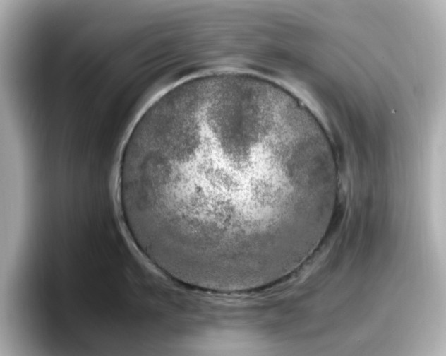 X0000098120911200804111112