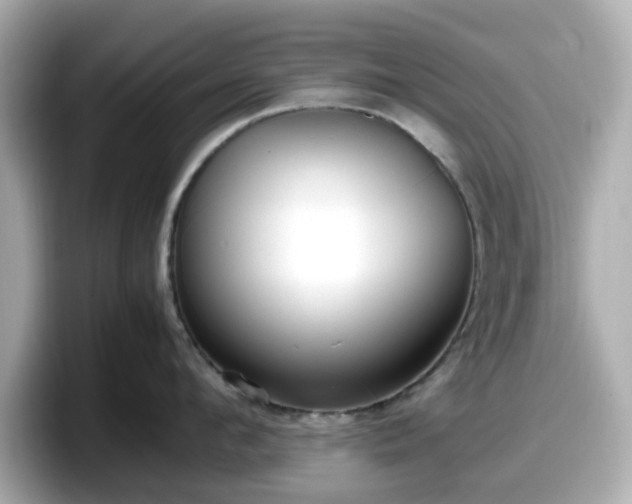 X0000098120912200804111112