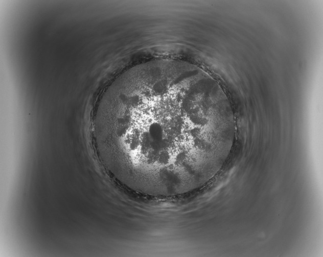 X0000098120913200804111112