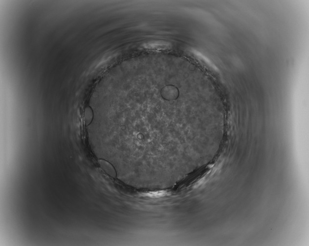 X0000098120917200804111112