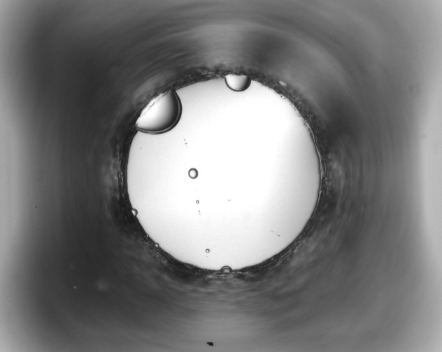 X0000098120918200804111112