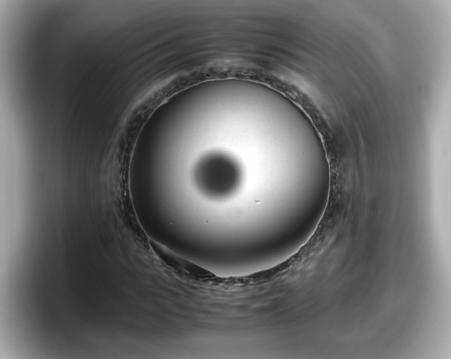 X0000098120919200804111112