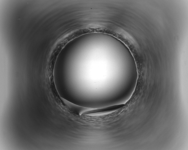 X0000098120920200804111112