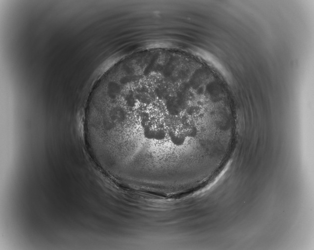X0000098120921200804111112