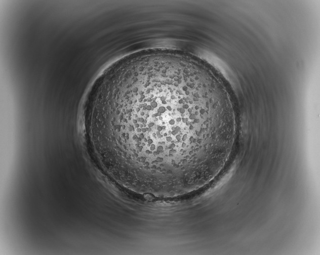 X0000098120923200804111112