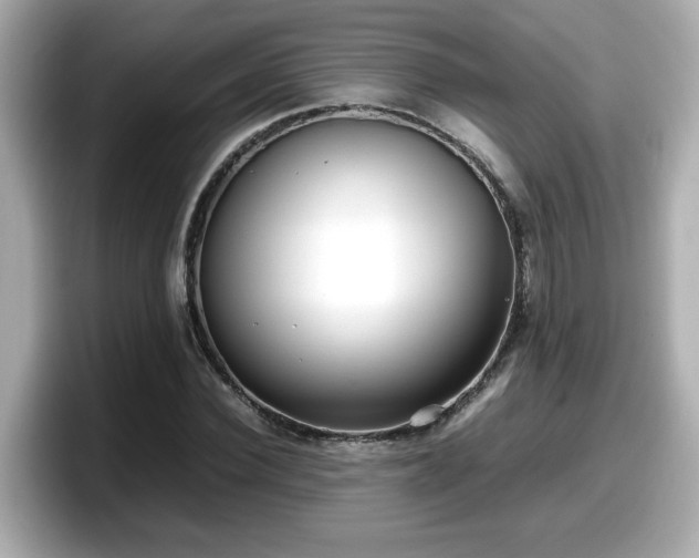 X0000098120924200804111112