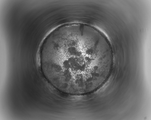 X0000098120925200804111112
