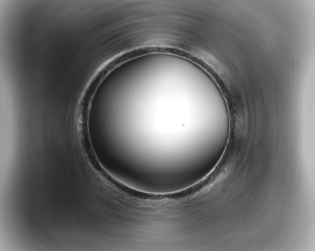 X0000098120926200804111112