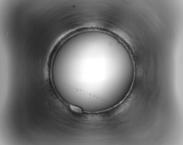 X0000098120927200804111112