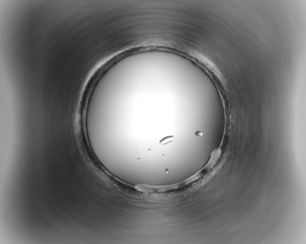 X0000098120928200804111112