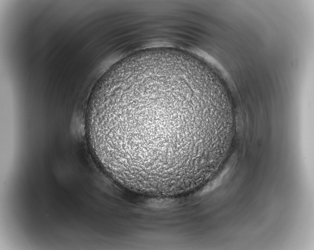 X0000098120929200804111112