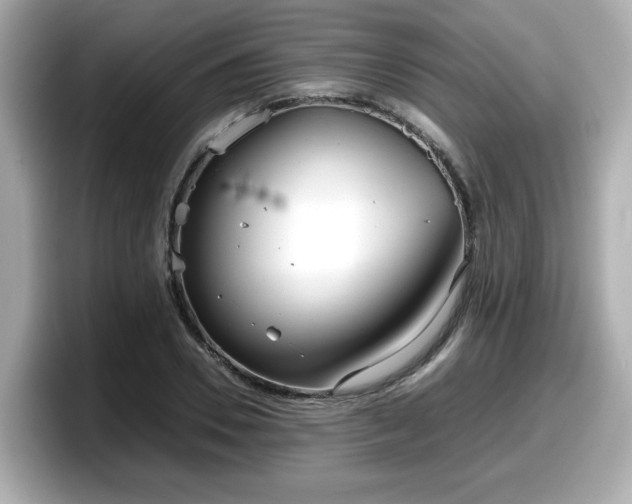 X0000098120930200804111112