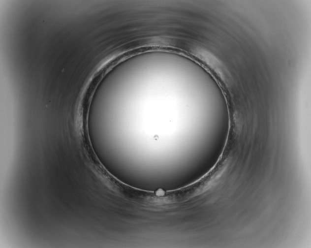 X0000098120931200804111112