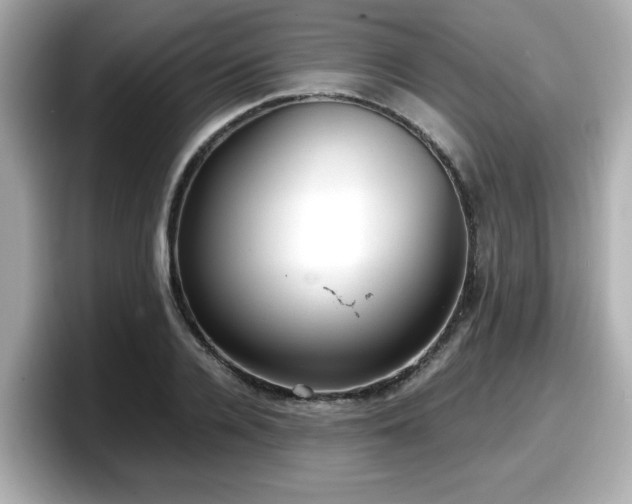 X0000098120936200804111112