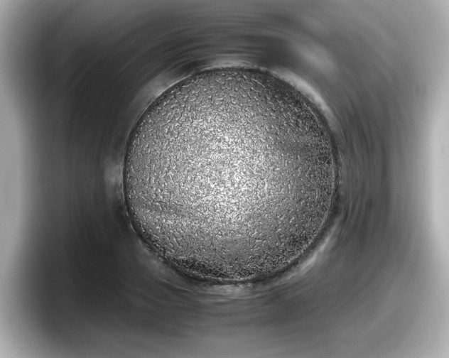 X0000098120937200804111112