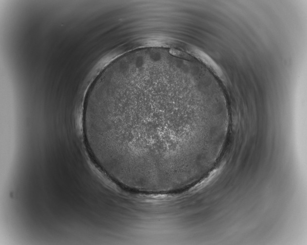 X0000098120938200804111112