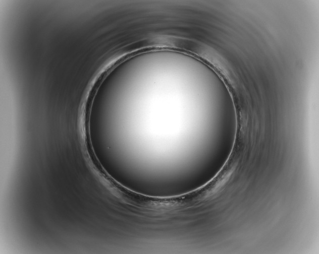 X0000098120939200804111112