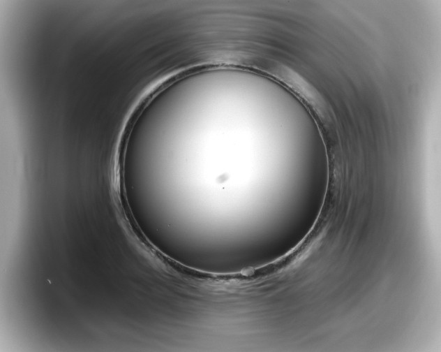 X0000098120940200804111112