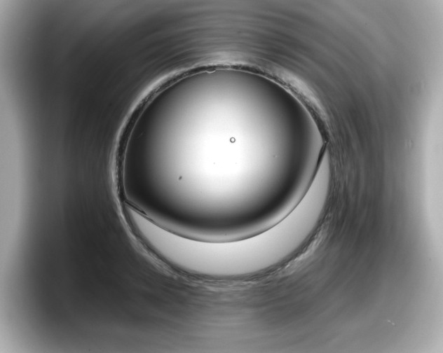 X0000098120942200804111112
