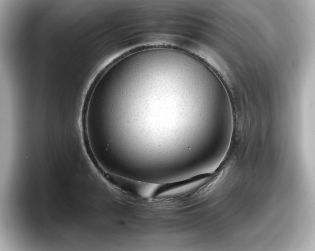 X0000098120943200804111112
