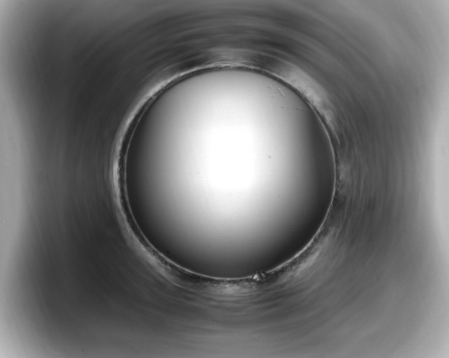 X0000098120947200804111112